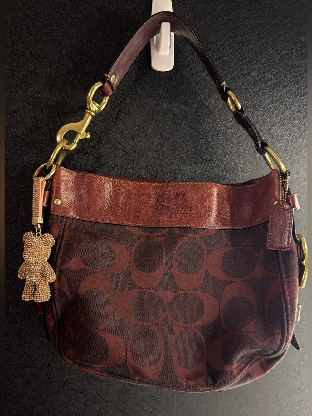 Coach Signature Canvas Hobo Bag in burgundy